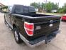 2011 Black /Gray Ford F-150 FX2 SuperCrew 5.5-ft. Bed 2WD (1FTFW1CFXBF) with an 5.0L V8 engine, 4-Speed Automatic transmission, located at 401 First NE, Bearden, AR, 71720, (870) 687-3414, 33.726528, -92.611519 - Photo#2