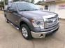 2014 Cinza Berlin Metallic /Gray Ford F-150 XLT SuperCrew 6.5-ft. Bed 2WD (1FTFW1CT0EK) with an 3.5L V6 TURBO engine, 6-Speed Automatic transmission, located at 401 First NE, Bearden, AR, 71720, (870) 687-3414, 33.726528, -92.611519 - Photo#25