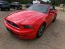 2014 Performance Red /Black Ford Mustang V6 Convertible (1ZVBP8EM1E5) with an 3.7L V6 DOHC 24V engine, Automatic transmission, located at 401 First NE, Bearden, AR, 71720, (870) 687-3414, 33.726528, -92.611519 - Photo#1