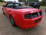 2014 Performance Red /Black Ford Mustang V6 Convertible (1ZVBP8EM1E5) with an 3.7L V6 DOHC 24V engine, Automatic transmission, located at 401 First NE, Bearden, AR, 71720, (870) 687-3414, 33.726528, -92.611519 - Photo#4