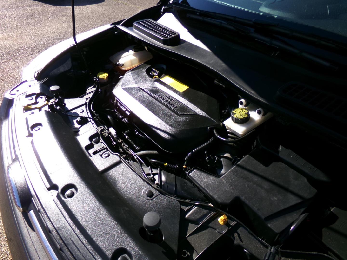 2016 Ford Escape SE FWD (1FMCU0GX3GU) with an 1.6L L4 DOHC 16V engine, 6-Speed Automatic transmission, located at 400 First NW, Bearden, AR, 71720, (870) 687-3414, 0.000000, 0.000000 - Photo#5