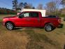 2013 Ford F-150 XLT SuperCrew 6.5-ft. Bed 2WD (1FTEW1CM6DK) with an 3.7L V6 DOHC 24V engine, 6-Speed Automatic transmission, located at 400 First NW, Bearden, AR, 71720, (870) 687-3414, 0.000000, 0.000000 - Photo#1