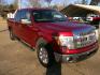2013 Ford F-150 XLT SuperCrew 6.5-ft. Bed 2WD (1FTEW1CM6DK) with an 3.7L V6 DOHC 24V engine, 6-Speed Automatic transmission, located at 400 First NW, Bearden, AR, 71720, (870) 687-3414, 0.000000, 0.000000 - Photo#22